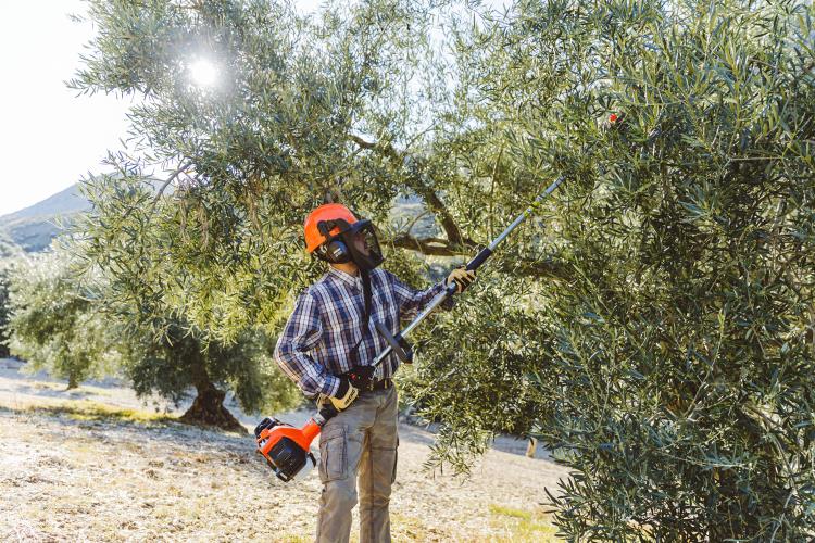 Echo X-Series Power Pruner with telescopic shaft PPT-2620HES - PAS-2620ES-MTA-PP-2019 (8).jpg